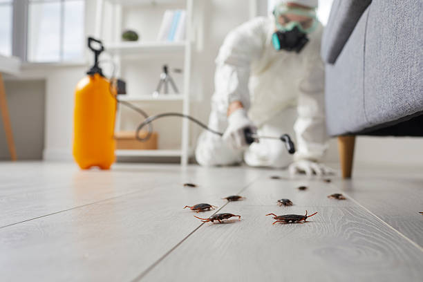 Trusted Termite Control service in Airmont, NY - Nex Pest Control