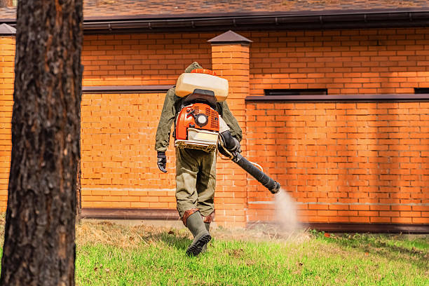 Trusted Ant Control service in Airmont, NY - Nex Pest Control